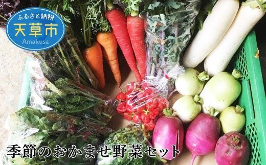 S096-003_季節のおまかせ野菜セット