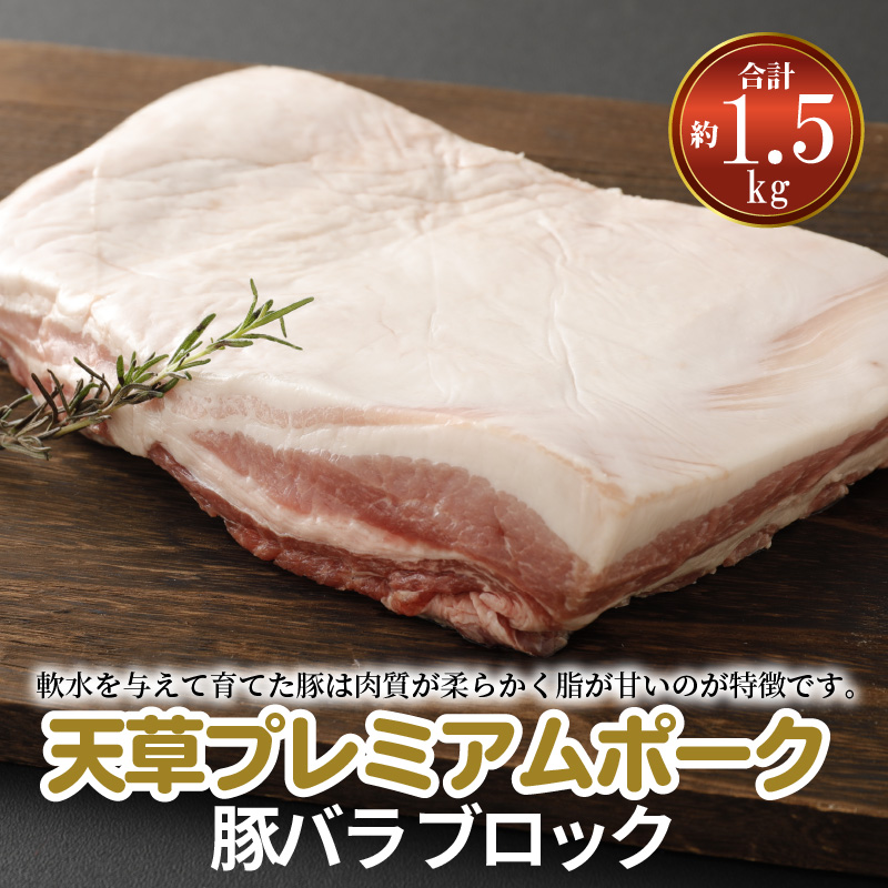 S058-024_天草プレミアムポーク 豚バラ ブロック 約1.5kg