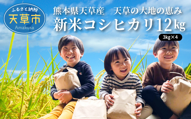 S108-004_〈令和6年産〉熊本県天草産　天草の大地の恵み　新米コシヒカリ12㎏
